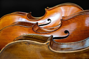 Cello 285